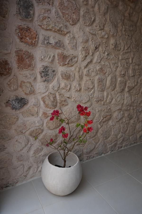 Casa Valentina Boutique Hotel Valladolid  Zewnętrze zdjęcie